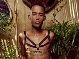 TeylorRay livesex
